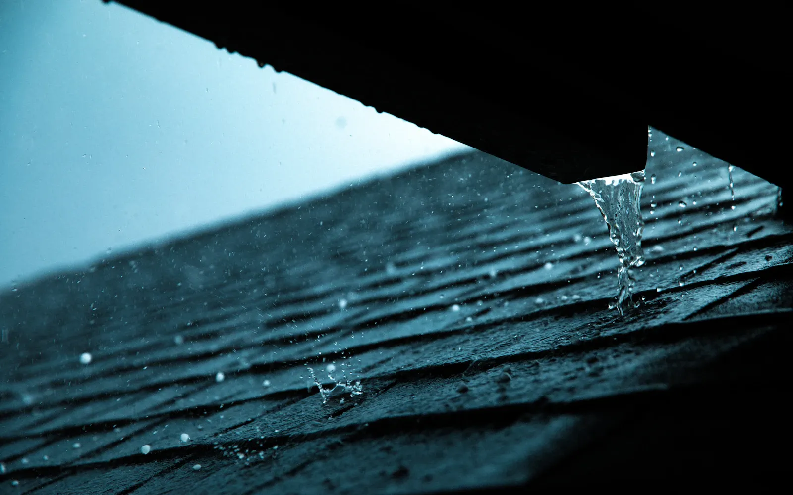 Gutter repair Whangarei